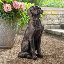 Member_sMarkSittingLabradorDogStatue1 - USA Mega Market