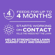 Member's Mark Southern Weed & Feed 12M
