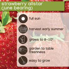 Member_sMarkStrawberryAllstar_40pk3 - USA Mega Market