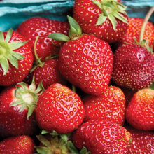 Member_sMarkStrawberryAllstar_40pk6 - USA Mega Market