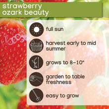 Member's Mark Strawberry Ozark Beauty, 40pk