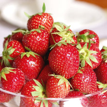 Member_sMarkStrawberryOzarkBeauty_40pk5 - USA Mega Market