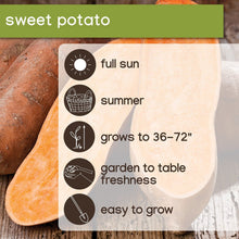 Member_sMarkSweetPotatoes_14pk2 - USA Mega Market