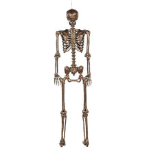 Member_sMarkTalkingSkeletons_Setof21 - Brands For Less USA