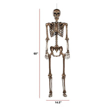 Member's Mark Talking Skeletons, Set of 2