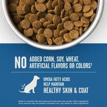 Member_sMark_LargeBreedDogBeef_BarleyRecipeDryDogFood_44lbs.1 - USA Mega Market