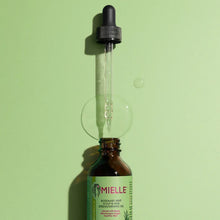 MielleOrganicsRosemaryMintScalp_HairStrengtheningOil2oz5 - Brands For Less USA