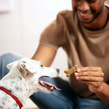 Milk-BoneFlavorSnacksVarietyPackSmallCrunchyDogBiscuits-8lbs-2-_6 - USA Mega Market