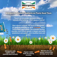Milorganite-Long-Lasting-All-Pur2_01075e78-c873-47cd-a9e0-28f7a6864c67 - USA Mega Market
