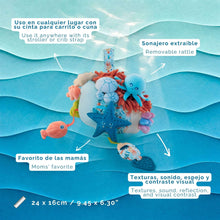 Miniland Sensorial Reef