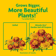 Miracle-Gro Garden Soil All Purpose, For In-Ground Use, 1 cu. ft.
