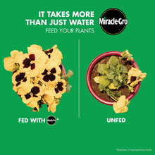 Miracle-Gro-Liquid-All-Purpose-P1 - USA Mega Market