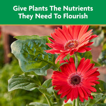 Miracle-Gro-Liquid-All-Purpose-P4 - USA Mega Market