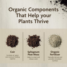 Miracle-Gro-Organic-Indoor-Potti3_b4bb4206-17fa-4e25-b720-554556c0b56d - USA Mega Market