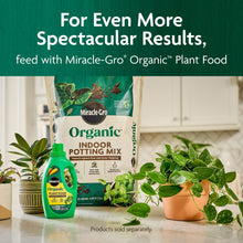 Miracle-Gro-Organic-Indoor-Potti7_6ede90bb-8a61-4f78-a4d4-0e29a0f6136e - USA Mega Market