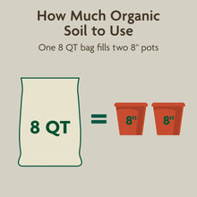 Miracle-Gro Organic Indoor Potting Mix, For Indoor Container Plants, 8 qt.