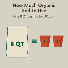 Miracle-Gro-Organic-Indoor-Potti9_5fd71797-6b5e-4d5c-8488-c105342f8ac7 - USA Mega Market