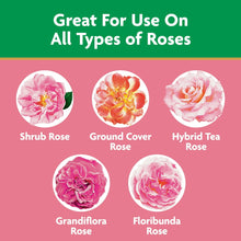 Miracle-Gro-Powder-Rose-Plant-Fo3 - USA Mega Market