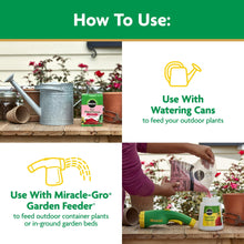 Miracle-Gro-Powder-Rose-Plant-Fo4 - USA Mega Market