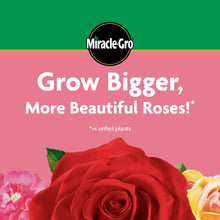 Miracle-Gro-Powder-Rose-Plant-Fo5 - USA Mega Market