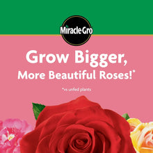 Miracle-Gro Water Soluble Rose Plant Food