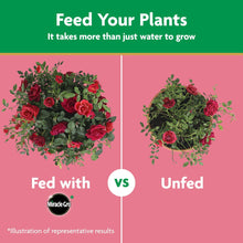 Miracle-Gro-Powder-Rose-Plant-Fo6 - USA Mega Market
