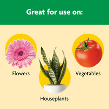 Miracle-Gro Shake 'N Feed All Purpose Plant Food, Use In Ground and Containers, 4.5 lbs.