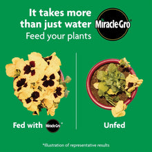Miracle-Gro Shake 'N Feed All Purpose Plant Food, Use In Ground and Containers, 4.5 lbs.