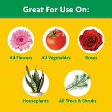 Miracle-Gro-Water-Soluble-All-Pu1_8c0af953-b2f0-4446-b4bc-58fbd6c64229 - USA Mega Market