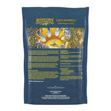 Mother-Earth-Groundswell-Perform6 - USA Mega Market