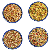 MountainHouseAsianInspiredFreezeDriedKit-24-count-48TotalServings-2-_2 - USA Mega Market