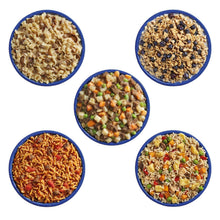 MountainHouseClassicMealAssortmentBucket-24TotalServings-Freeze-DriedBackpacking-CampingFood2-_2 - USA Mega Market