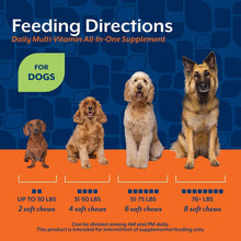 NaturVetDailyMulti-VitaminAll-In-OneSupplementforDogs-240ct-1-_8 - USA Mega Market