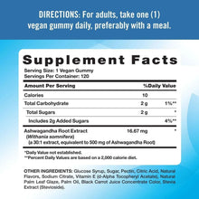 Nature-sTruthRestoreandUnwindTropicalAshwagandhaGummies-500mg-120ct-2-_3 - USA Mega Market