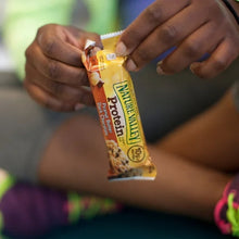 NatureValleyProteinBar_PeanutButterDarkChocolate_1.42oz_30-count6 - USA Mega Market