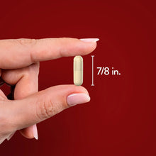 Nature_sTruthConcentratedCeylonCinnamon2_000mgCapsules150ct. - USA Mega Market