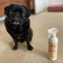Nellie_sDogTowelandWaterlessDog16flozShampooBundle5 - USA Mega Market