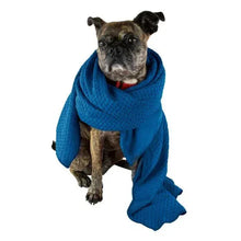Nellie_sDogTowelandWaterlessDog16flozShampooBundle6 - USA Mega Market