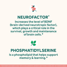 Neuriva_Original_Brain_Health_Supplement_Capsules_45_ct._2 - USA Mega Market