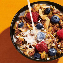 NuTrailLowCarbKetoNutGranola-CinnamonPecan-22oz-6-_6 - USA Mega Market