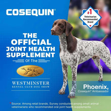 NutramaxCosequinJointHealthSupplementforDogswithGlucosamine-Chondroitin-MSM-Omega-3-sandHA-150So_2917_7 - USA Mega Market
