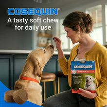 NutramaxCosequinJointHealthSupplementforDogswithGlucosamine_Chondroitin_MSM_Omega-3_sandHA_150SoftChews5 - USA Mega Market