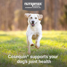 NutramaxCosequinJointHealthSupplementforDogswithGlucosamine_Chondroitin_MSM_Omega-3_sandHA_150SoftChews8 - USA Mega Market