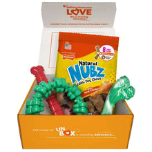 NylaboneChewToys-NUBZChewTreatsHolidayGiftBox-4-count1-_5_6f619b1d-014e-49f7-b4c7-09d8592e17c8 - USA Mega Market