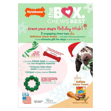 NylaboneChewToys-NUBZChewTreatsHolidayGiftBox-4-count2-_4_01292087-9b86-4d8e-a04d-a8ff679c2f5e - USA Mega Market