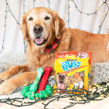NylaboneChewToys-NUBZChewTreatsHolidayGiftBox-4-count3-_3_25d6a882-d43d-4dbc-b2d8-7e5329219f58 - USA Mega Market