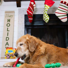 NylaboneChewToys-NUBZChewTreatsHolidayGiftBox-4-count4-_2_1ff7be7f-8f5f-44fc-8721-3562aeae94e7 - USA Mega Market