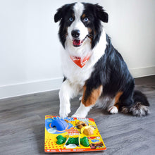 NylaboneNUBZTreatN-ChewDogToyVarietyPack-3-count2-_3_fb387798-61be-421b-9eeb-76c691b6b71d - USA Mega Market