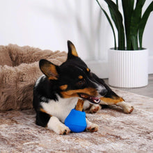 NylaboneNUBZTreatN-ChewDogToyVarietyPack-3-count3-_4_a309ceee-406b-4c70-a3cb-bfd59bd5dae6 - USA Mega Market