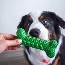 NylaboneNUBZTreatN-ChewDogToyVarietyPack-3-count4-_5 - USA Mega Market